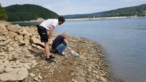 Patrzą, a na wodzie dryfuje ranny ptak. "Opadł z sił"