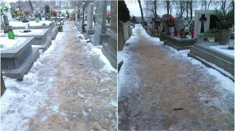Kości porozrzucane na gnieźnieńskim cmenatrzu