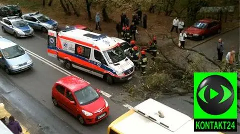 Drzewo runęło na przechodnia