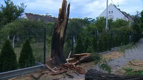 Poland suffers from heatwaves and severe storms in thwe summer