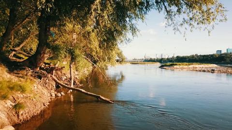 Susza w Polsce, naukowcy alarmują