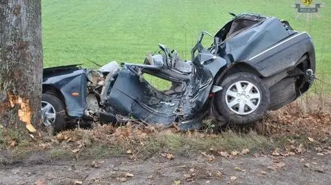 Zjechała z drogi i uderzyła w drzewo. 
Nie żyje 19-latka