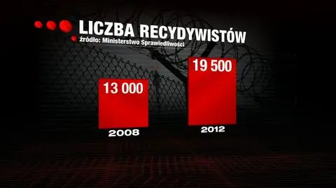 Dlaczego resocjalizacja w Polsce nie jest skuteczna?