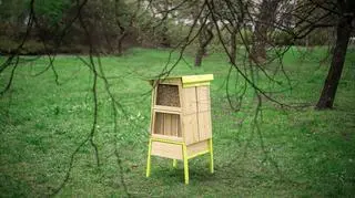 W całej Polsce ma powstać w sumie 100 hoteli