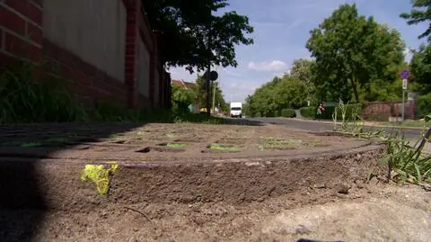 5-latek wpadł do studzienki w centrum Brzegu. Lekarze walczą o jego życie