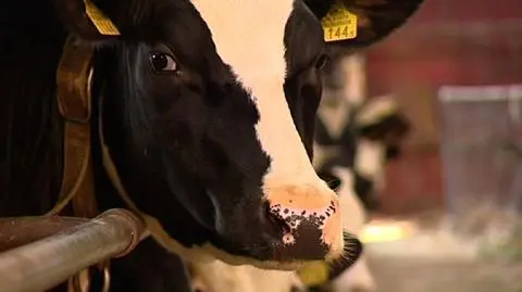 "To nie do przyjęcia"