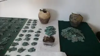 Leśniczy znalazł dwa garnki pełne zabytkowych monet