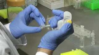 Baza DNA ma pomóc w poszukiwaniach 