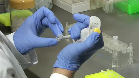 Przegląd prasy: Łatwiej odnajdą zaginionych. Dzięki "bankowi" DNA