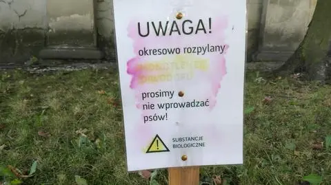 Poznań: monotlenek diwodoru na trawniku przed kościołem