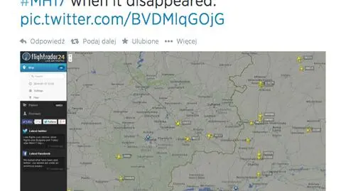 Dwa samoloty były 
w pobliżu boeinga 777
 w chwili katastrofy