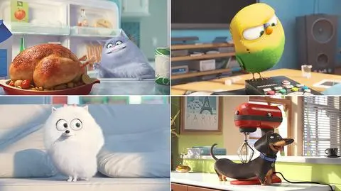 USA. "Sekretne życie zwierzaków domowych" na szczycie box office'u