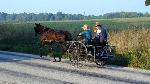 Amisz nacinał "na Madoffa"