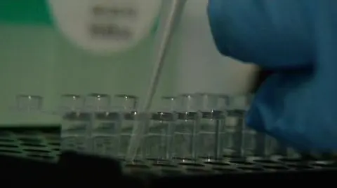 W genach ukryty jest patent na zdrowie