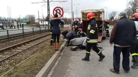 Kraków: na tory tramwajowe przewrócił się koń