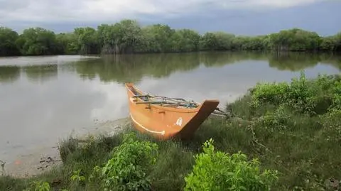 Krokodyl zaatakował brytyjskiego turystę