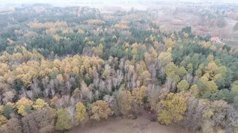 47-latek śmiertelnie postrzelony podczas polowania