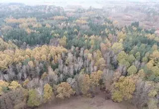 Myśliwy i organizator polowania z zarzutami po śmierci naganiacza