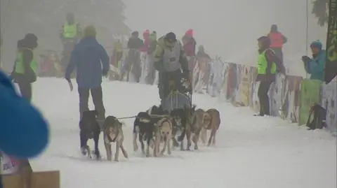 Dolny Śląsk: wyścigi psich zaprzęgów Border Rush