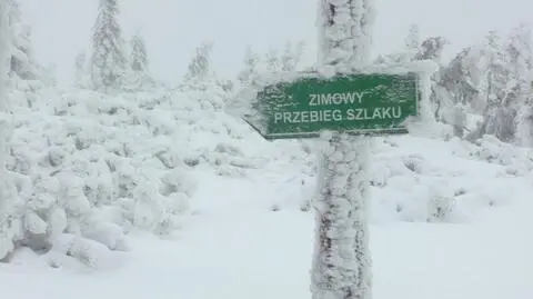 Ratownicy apelują do turystów o rozwagę