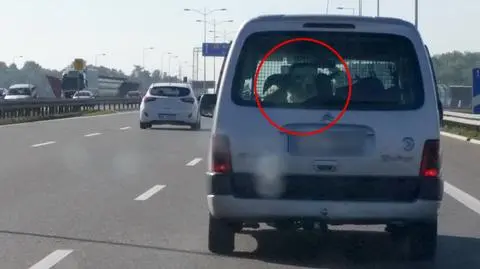 Wrocław: niecodzienny transport na AOW