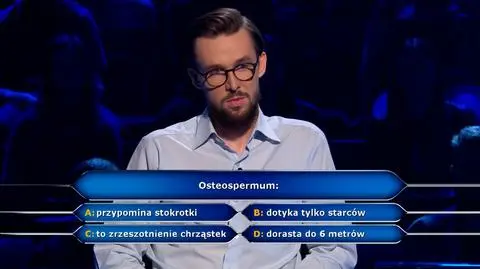 "Milionerzy". Pytanie o osteospermum za 40 tysięcy złotych