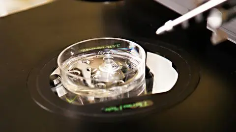 Łódzki program in vitro: w dwa lata urodziło się 87 dzieci