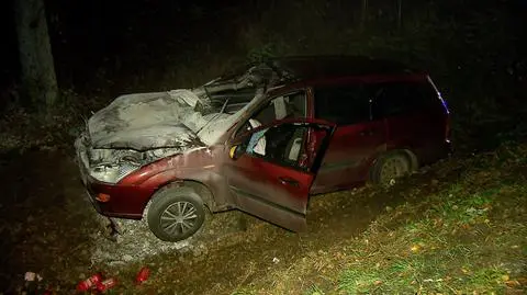 Mińsk Mazowiecki. Auto zderzyło się z łosiem. Pięć osób w szpitalu