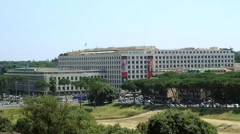 Co roku marnotrawimy żywność wartą 750 mln dolarów