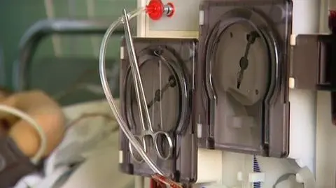 Mimo wszystko życie