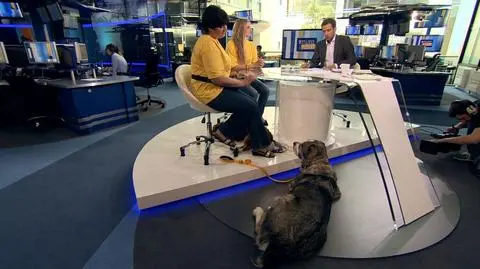 15 czerwca dniem dogoterapii