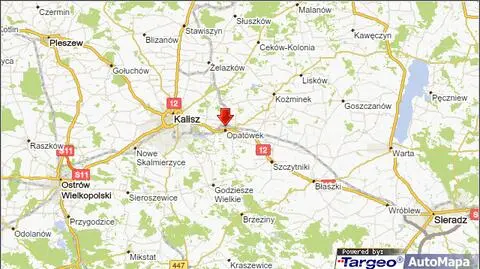 Wypadek pod Kaliszem. Tir śmiertelnie potrącił pieszego