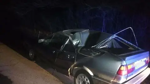 Łódzkie: policja zatrzymała do kontroli auto zmiażdżone przez drzewo