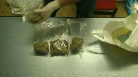 Policja łacznie zabezpieczyłap onad 900 porcji narkotyków