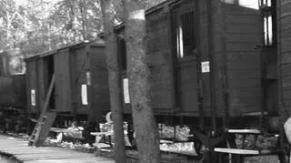 Takimi wagonami wywożono Polaków na Syberię