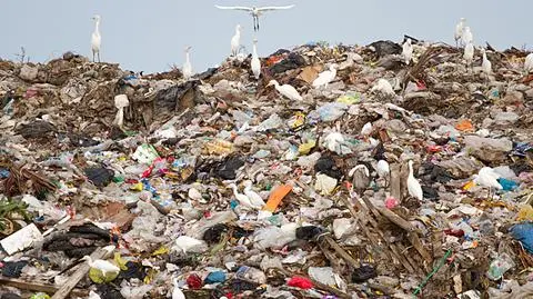 W Słupsku za śmieci zapłacą od osoby 