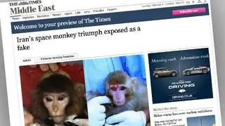 To dwie różne małpy?