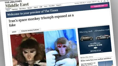 To dwie różne małpy?