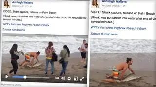 Film z plaży w Palm Beach opublikowała dziennikarka Ashleigh Walters