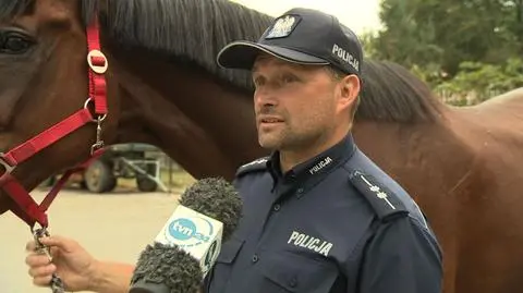 Służbowy koń odchodzi na emeryturę, policjant zabiera go do siebie