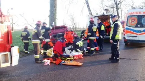 Uderzył peugeotem w drzewo. 49-letni kierowca nie żyje