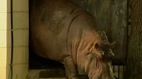 50 lat minęło - śpiewali Bresti pracownicy ZOO