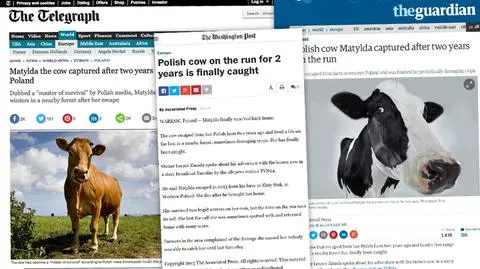 Zagraniczne media podeszły do historii z poczuciem humoru