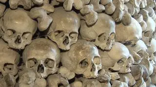 Niemiecki eksperyment kosztował życie 86 osób 