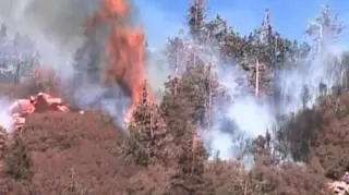 Trzecią dobę trwa walka z pożarem w kalifornijskim parku narodowym San Bernardino. Ogień zmusił do ewakuacji ponad dwa tysiące okolicznych mieszkańców. (APTN)