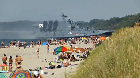 Zubrem w plażowiczów. Takie rzeczy tylko w Rosji