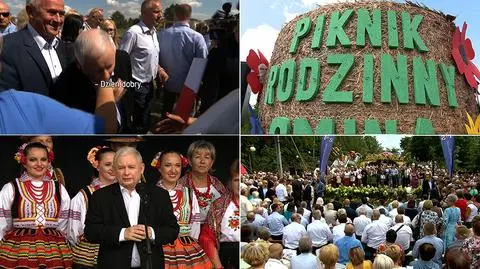 Polityczne wakacje