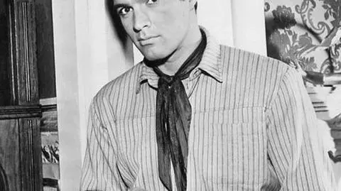 John Gavin nie żyje