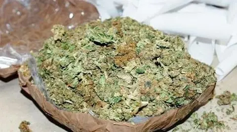W jaguarze pół, a w domu ponad 9 kg marihuany
