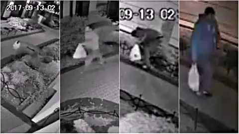 Złodziej-ogrodnik. Ukradł rośliny za 2 tysiące złotych